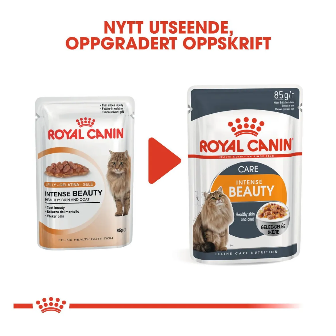 Royal Canin Hair & Skin Care Jelly 85g, 48-pack