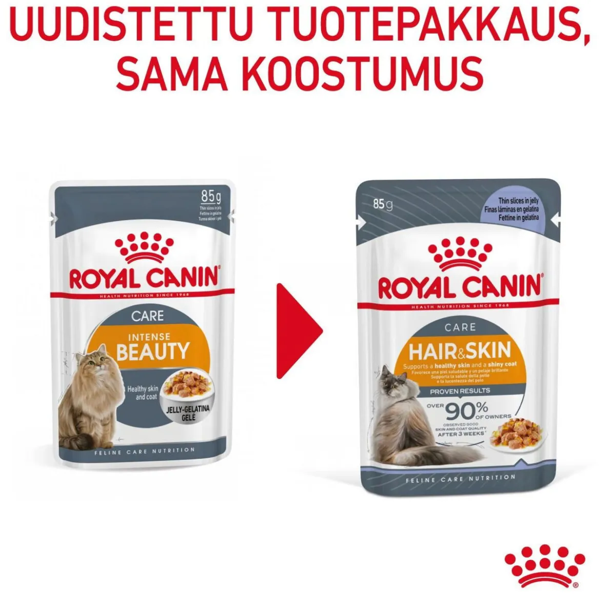 Royal Canin Hair & Skin Care Jelly 85g, 48-pack