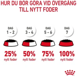 Royal Canin Hair & Skin Care Jelly 85g, 48-pack
