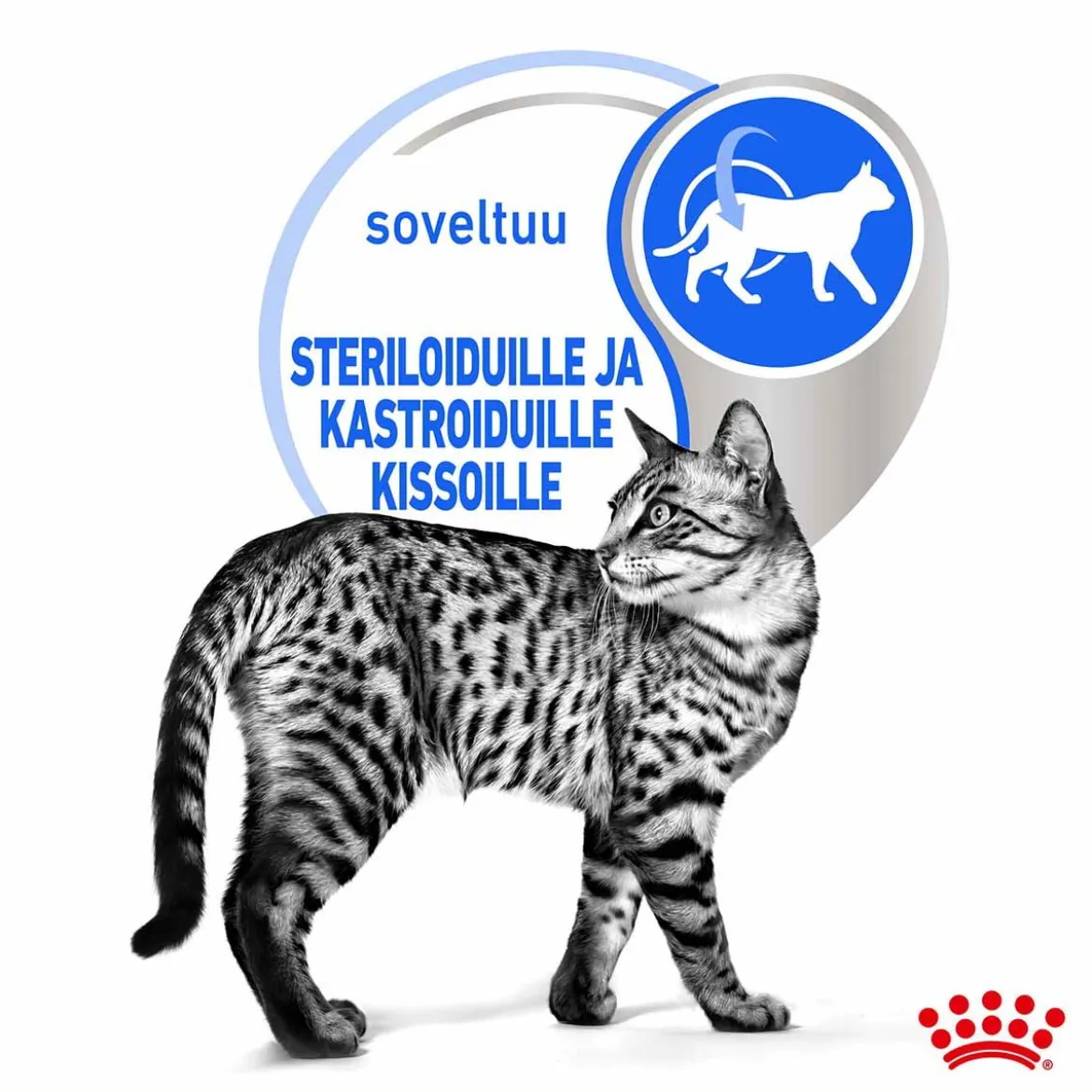 Royal Canin Indoor Gravy 85 g, 48-pack