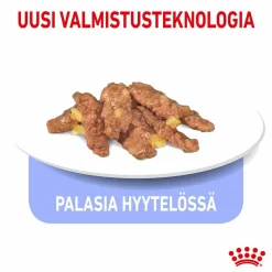 Royal Canin Indoor Jelly 85 g, 48-pack