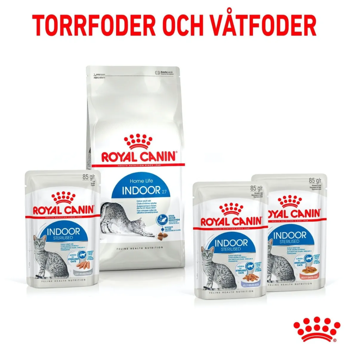 Royal Canin Indoor Jelly 85 g, 48-pack