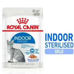 Royal Canin Indoor Jelly 85 g, 48-pack