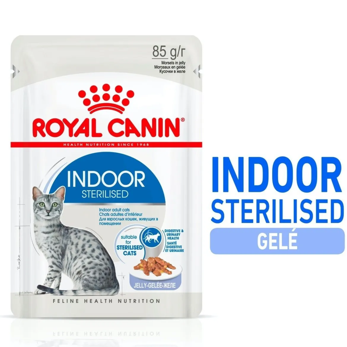 Royal Canin Indoor Jelly 85 g, 48-pack