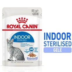 Royal Canin Indoor Jelly 85 g, 48-pack