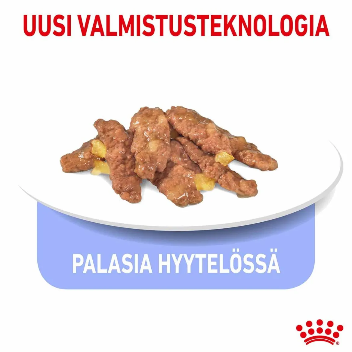 Royal Canin Indoor Jelly 12 x 85 g