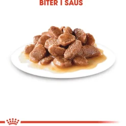 Royal Canin Instinctive Gravy 85g, 48-pack