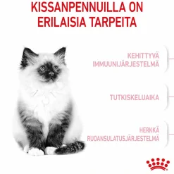 Royal Canin Kitten