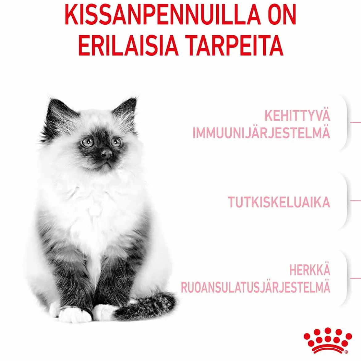 Royal Canin Kitten