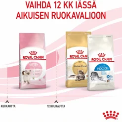 Royal Canin Kitten