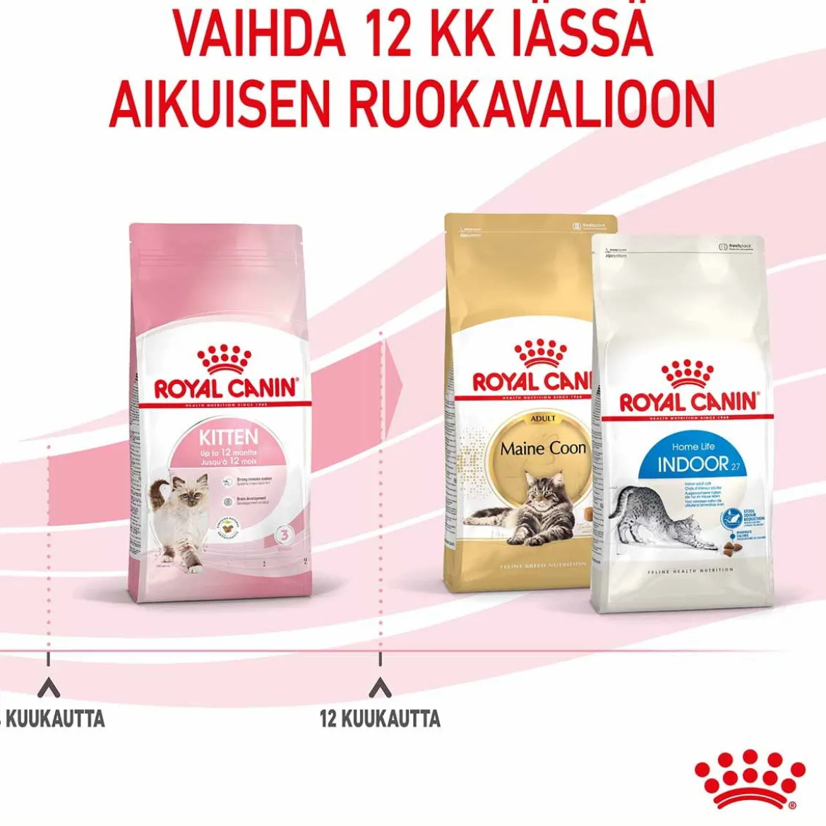 Royal Canin Kitten