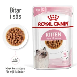 Royal Canin Kitten Gravy 85g, 48-pack