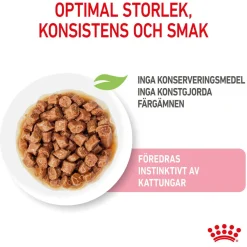 Royal Canin Kitten Gravy 85g, 48-pack