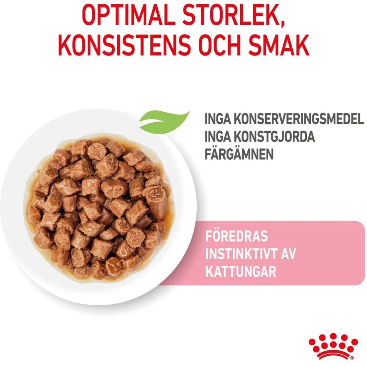 Royal Canin Kitten Gravy 85g, 48-pack