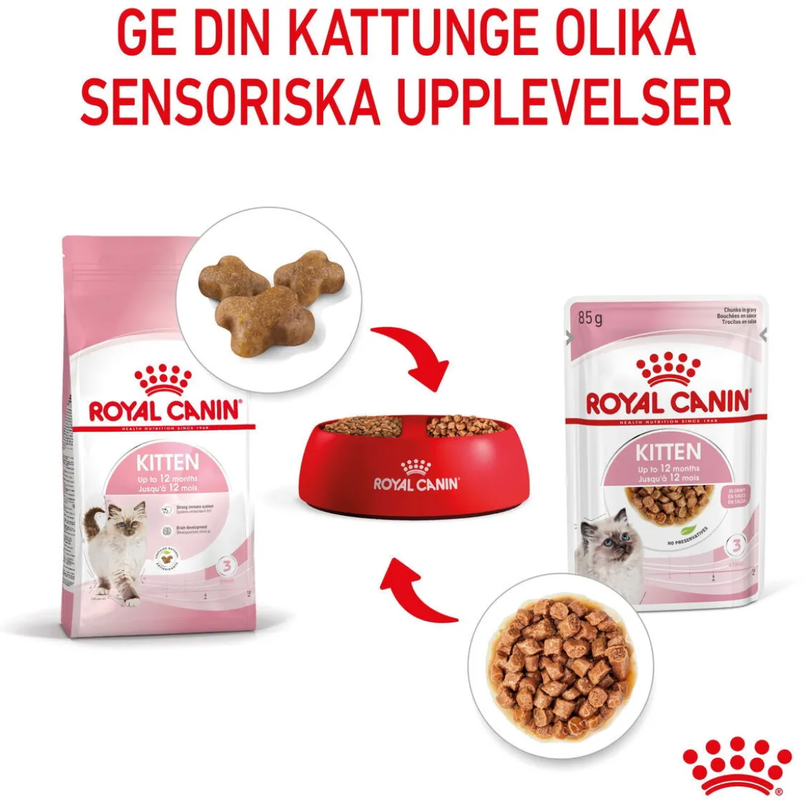Royal Canin Kitten Gravy 85g, 48-pack