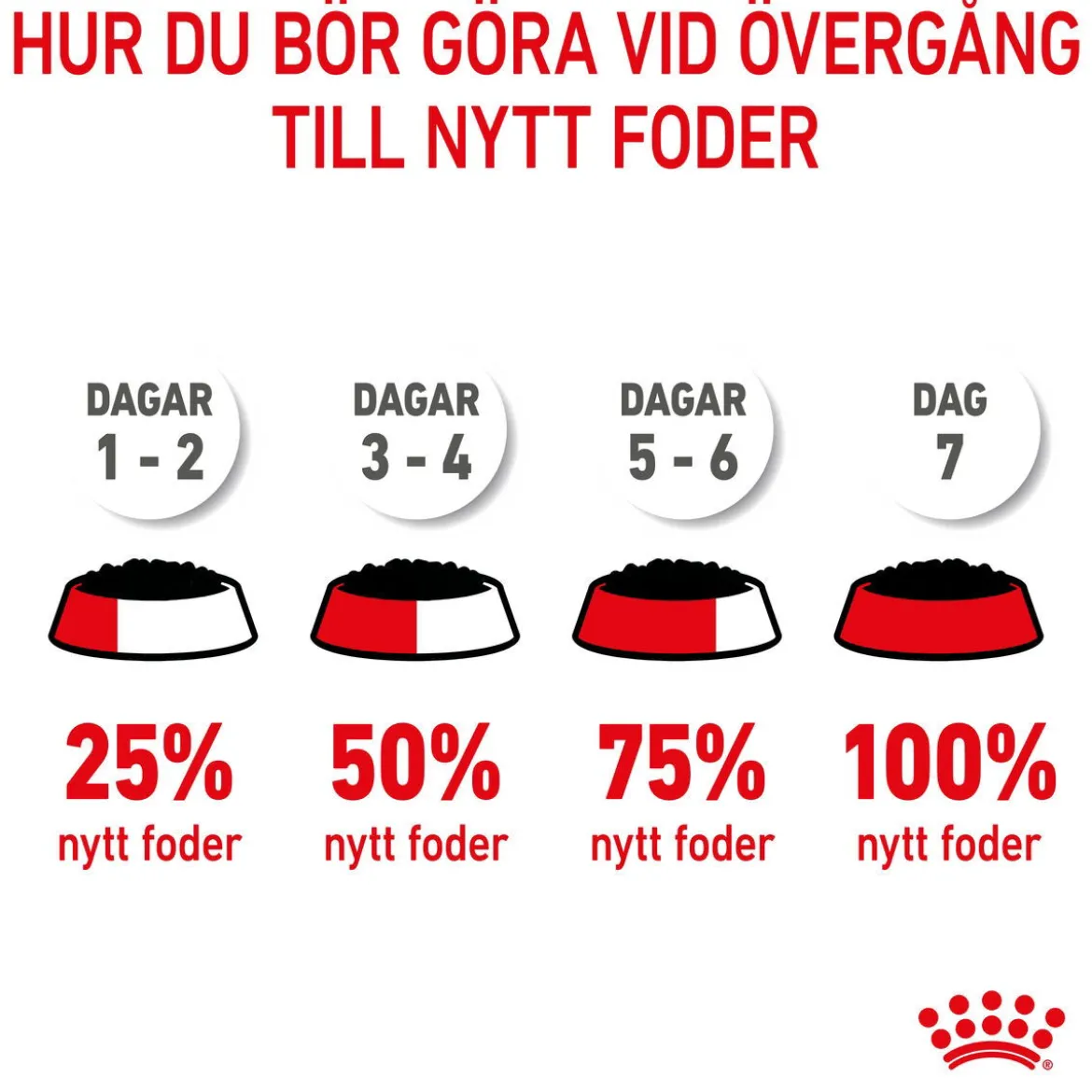 Royal Canin Kitten Gravy 85g, 48-pack