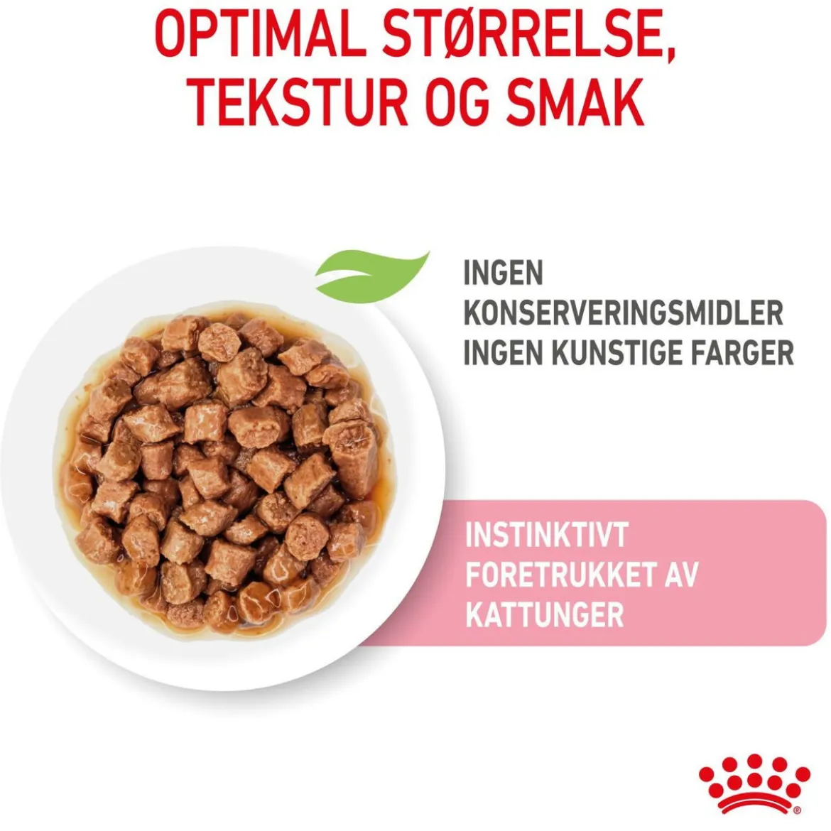 Royal Canin Kitten Gravy 85g, 48-pack