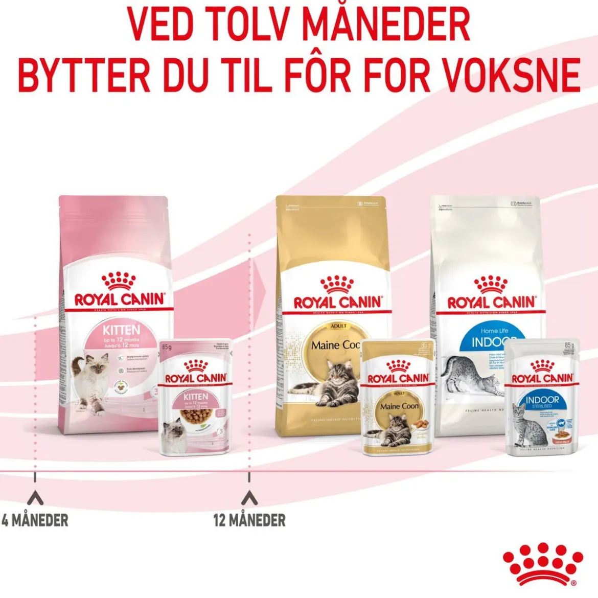 Royal Canin Kitten Gravy 85g, 48-pack