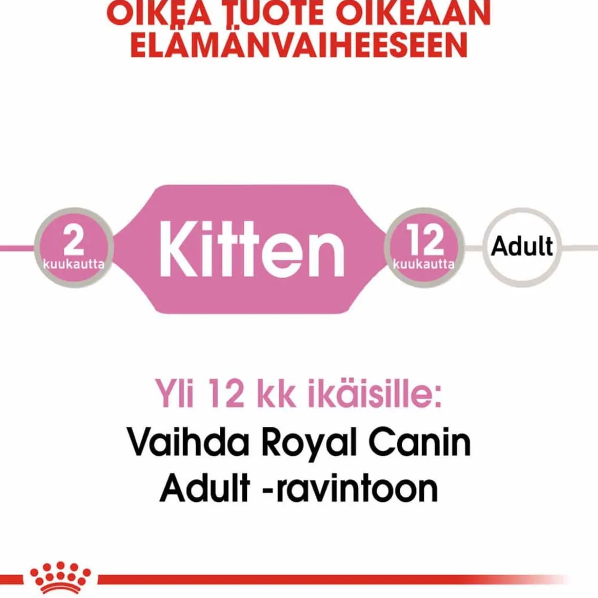 Royal Canin Kitten Gravy 85g, 48-pack