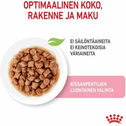Royal Canin Kitten Gravy 85g, 48-pack