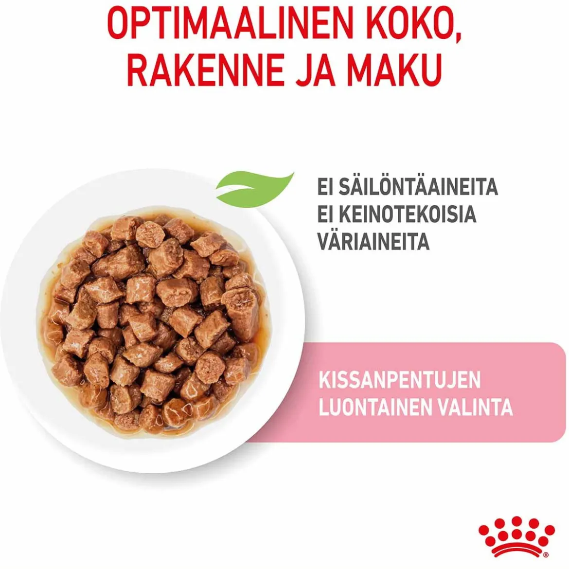 Royal Canin Kitten Gravy 85g, 48-pack