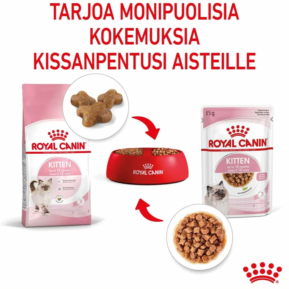 Royal Canin Kitten Gravy 85g, 48-pack