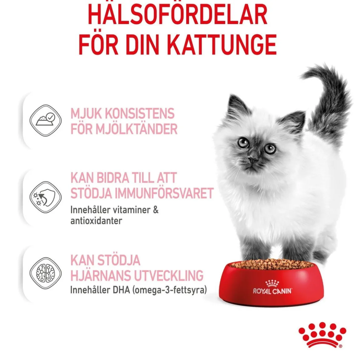 Royal Canin Kitten Gravy 85g, 48-pack