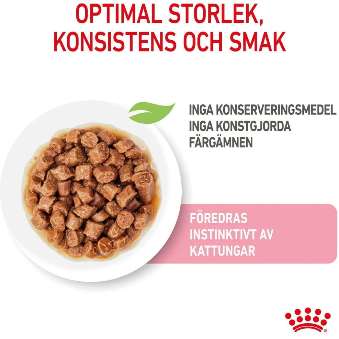 Royal Canin Kitten Gravy 85g, 48-pack