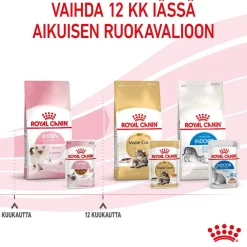 Royal Canin Kitten Gravy 85g, 48-pack