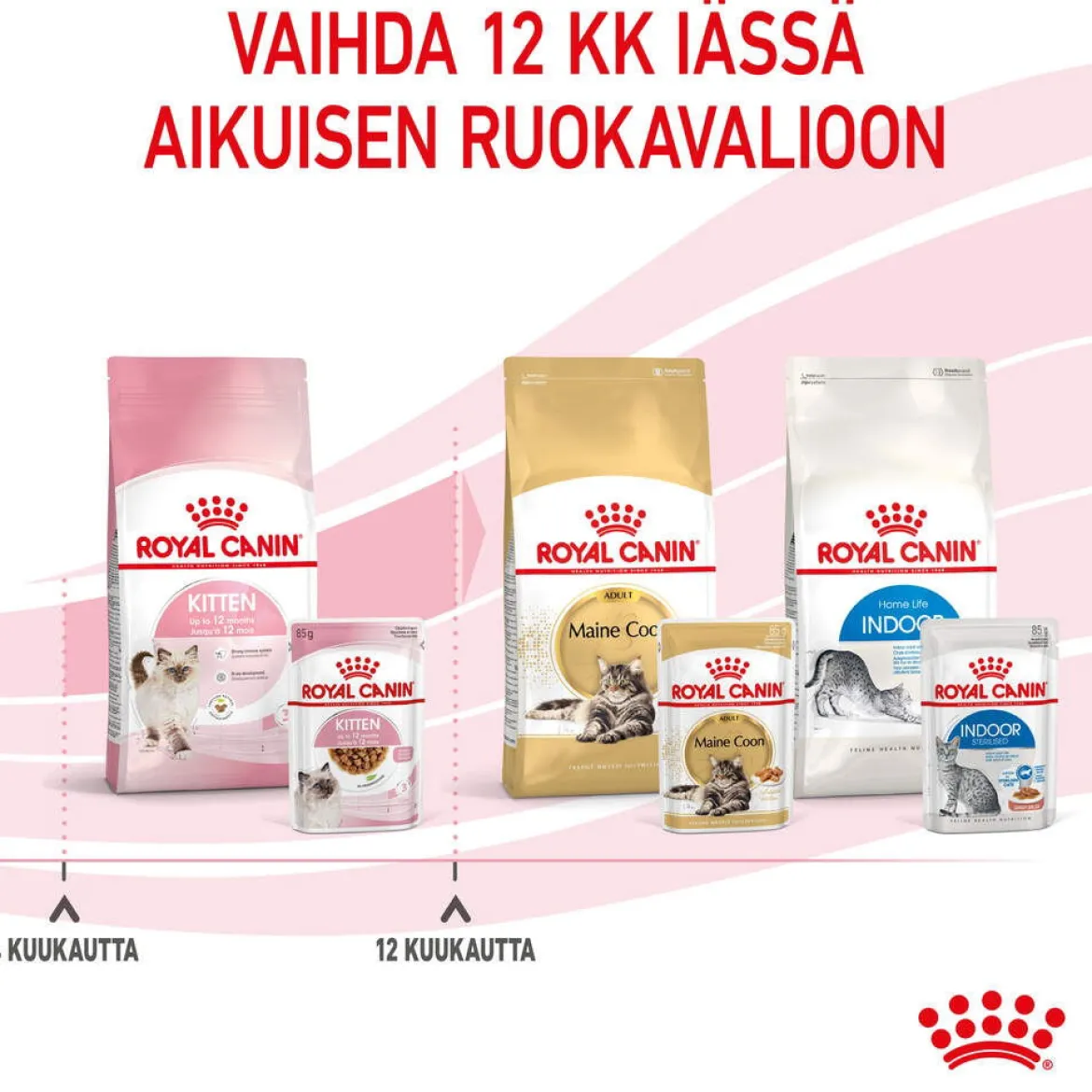 Royal Canin Kitten Gravy 85g, 48-pack