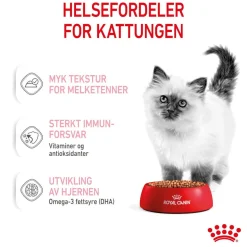 Royal Canin Kitten Gravy 85g, 48-pack