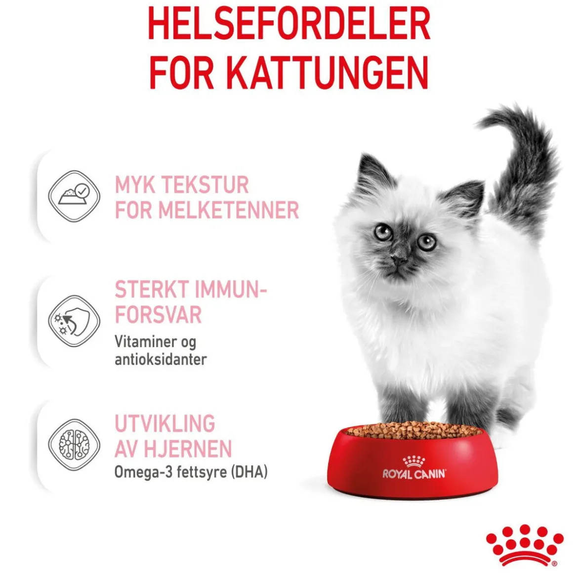 Royal Canin Kitten Gravy 85g, 48-pack
