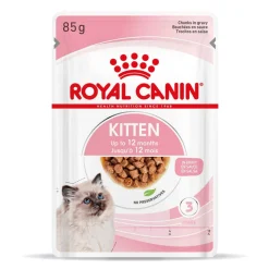 Royal Canin Kitten Gravy 85g, 48-pack