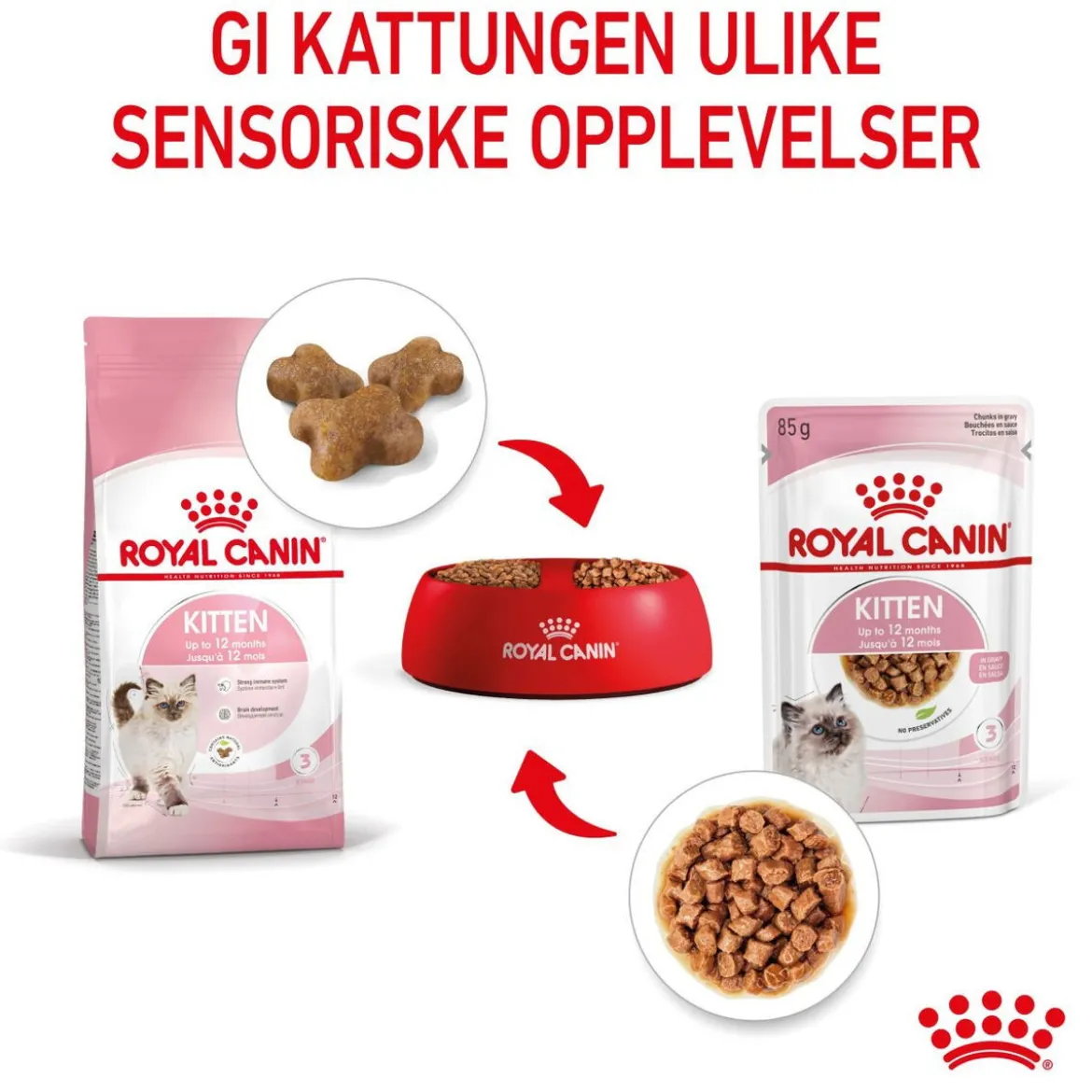 Royal Canin Kitten Gravy 85g, 48-pack