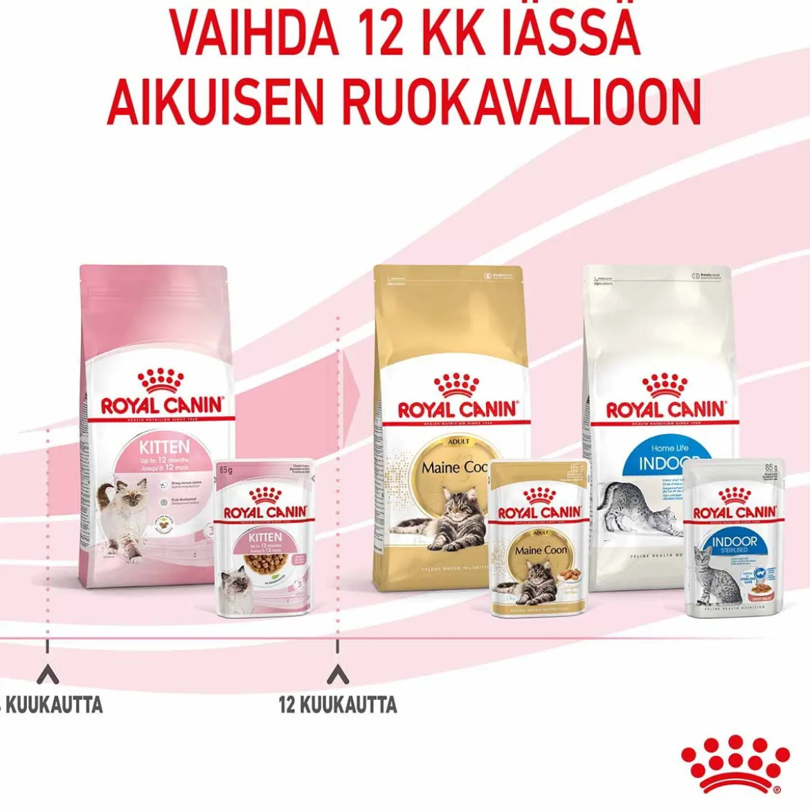 Royal Canin Kitten Gravy, 12x85g