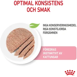 Royal Canin Kitten Loaf 85g, 48-pack