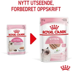 Royal Canin Kitten Loaf 85g, 48-pack