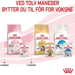 Royal Canin Kitten Loaf 85g, 48-pack