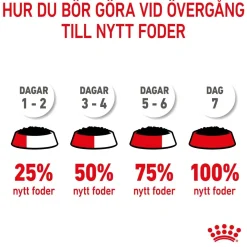Royal Canin Kitten Loaf 85g, 48-pack