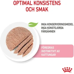 Royal Canin Kitten Loaf 85g, 48-pack