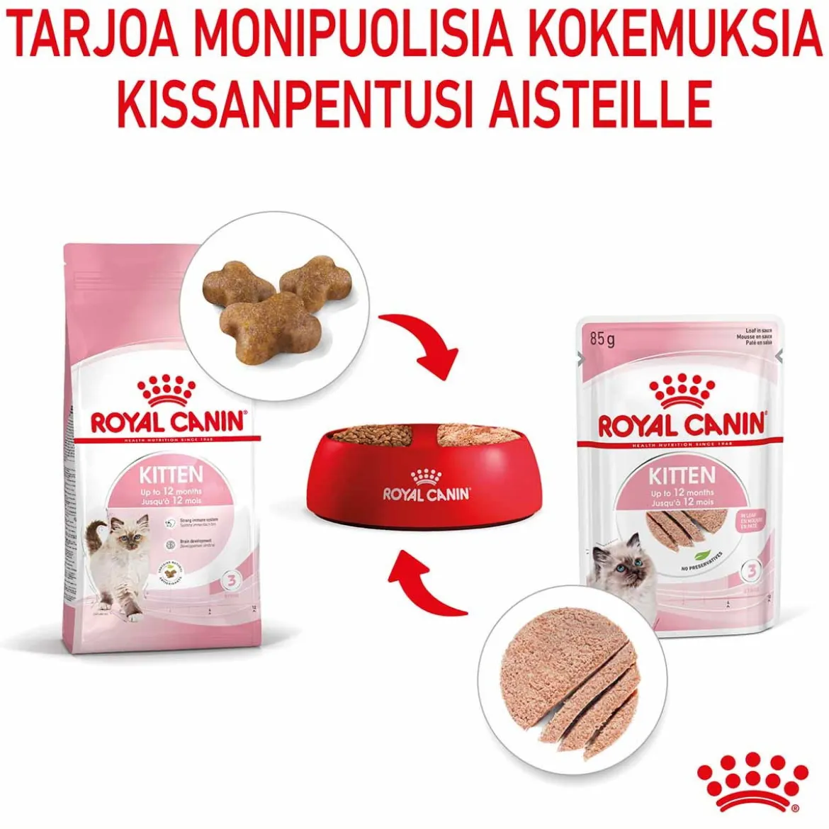 Royal Canin Kitten Loaf, 12x85g