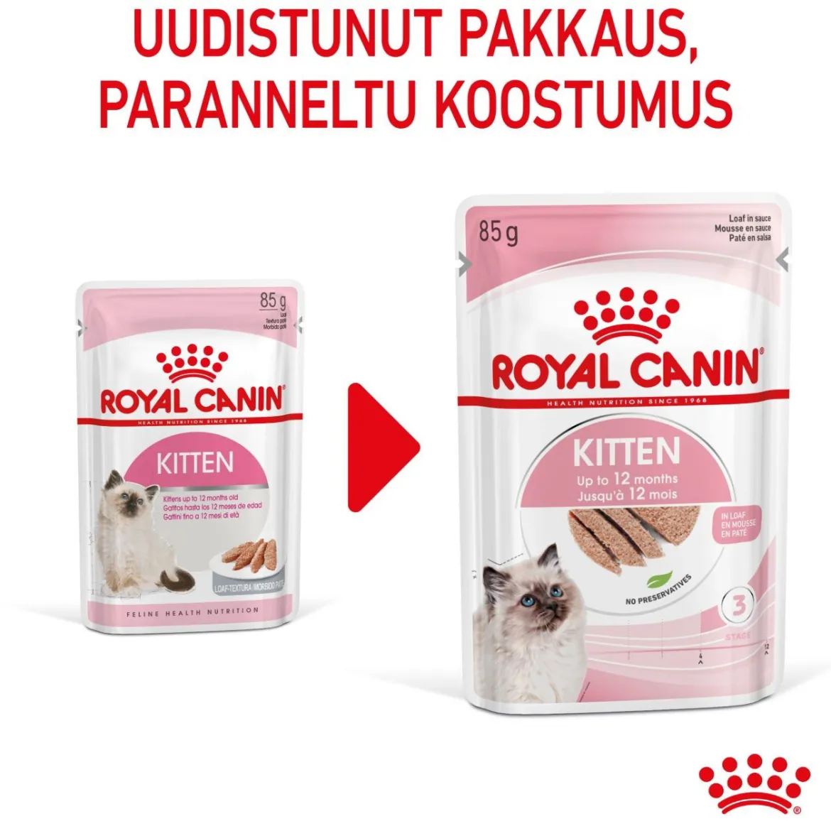 Royal Canin Kitten Loaf, 12x85g
