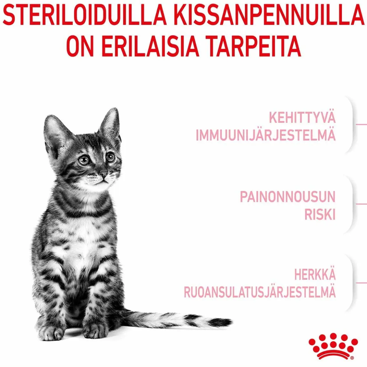 Royal Canin Kitten Sterilised