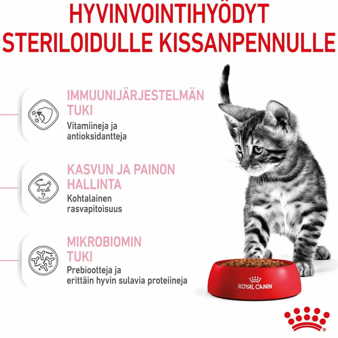 Royal Canin Kitten Sterilised