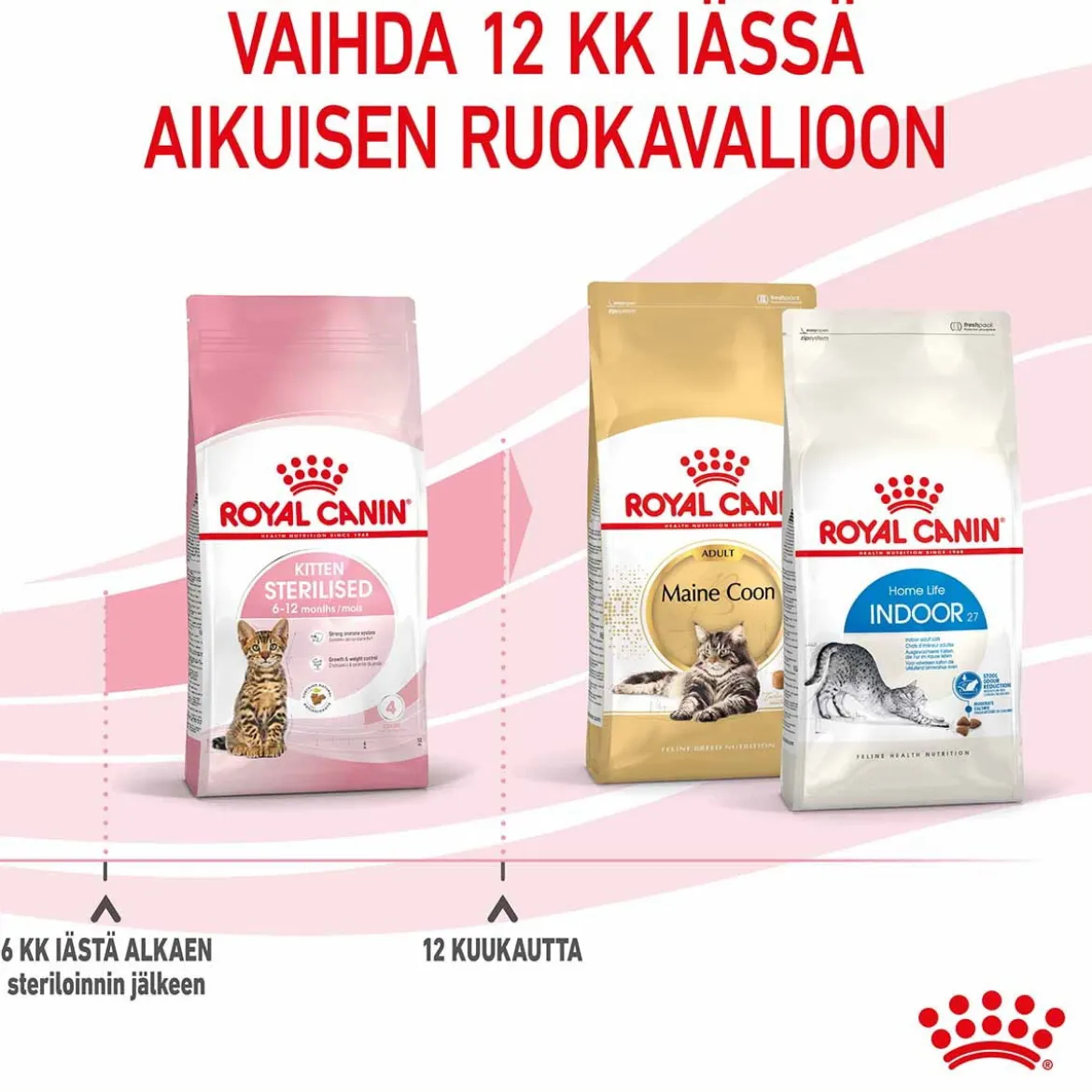 Royal Canin Kitten Sterilised