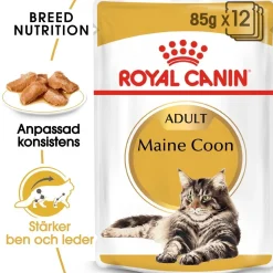Royal Canin Maine Coon 85g, 48-pack