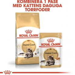 Royal Canin Maine Coon 85g, 48-pack
