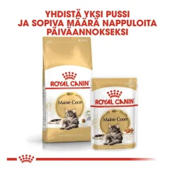 Royal Canin Maine Coon 85g, 48-pack