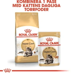 Royal Canin Maine Coon 85g, 48-pack