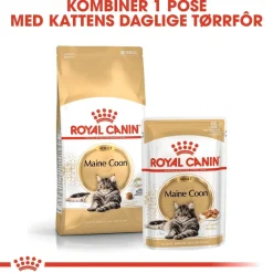 Royal Canin Maine Coon 85g, 48-pack
